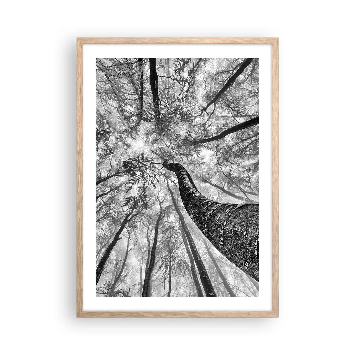 Plagát v ráme zo svetlého duba - Závod ku svetlu - 50x70 cm