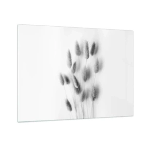 Obraz na skle - Čiernobiele klasy trávy na svetlom pozadí v minimalistickom štýle - 70x50cm - Našuchorená tráva - Moderná nástenná dekorácia do obývacej izby a spálne ARTTOR