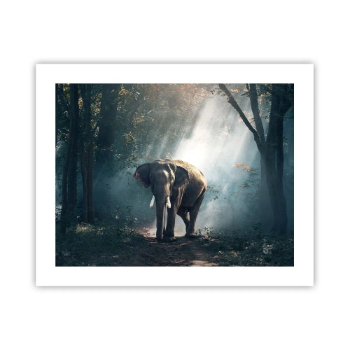 Plagát - Pokojná prechádzka - 50x40 cm