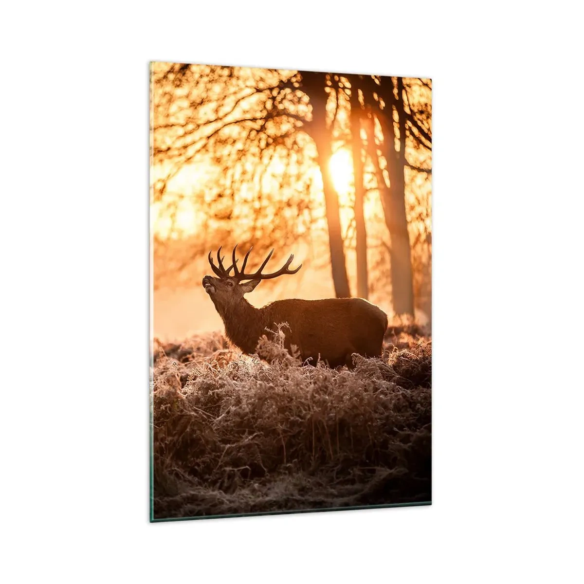 Obraz na skle - Sen poľovníka - 80x120 cm