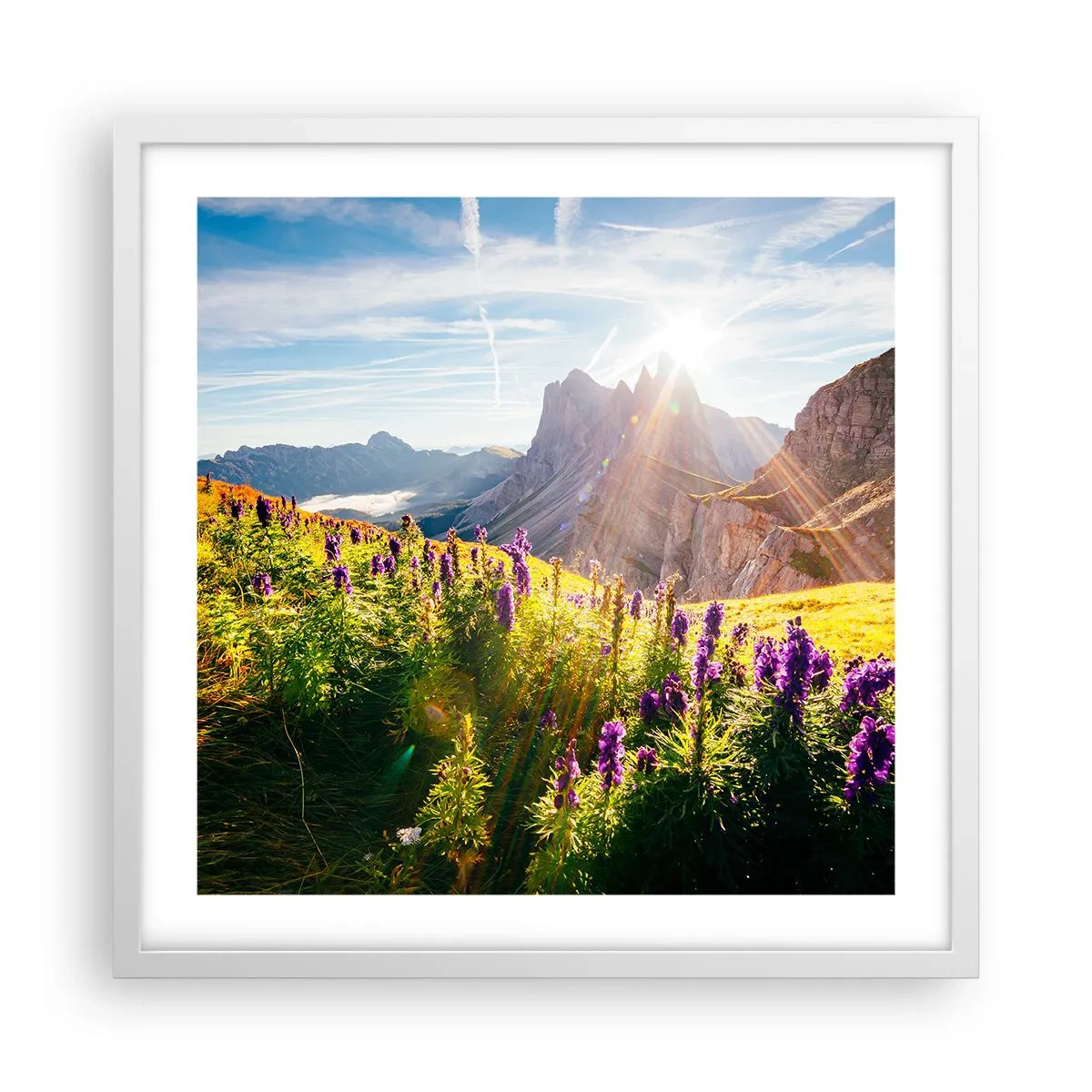 Plagát v bielom ráme - Tajomný život bylín - 50x50 cm