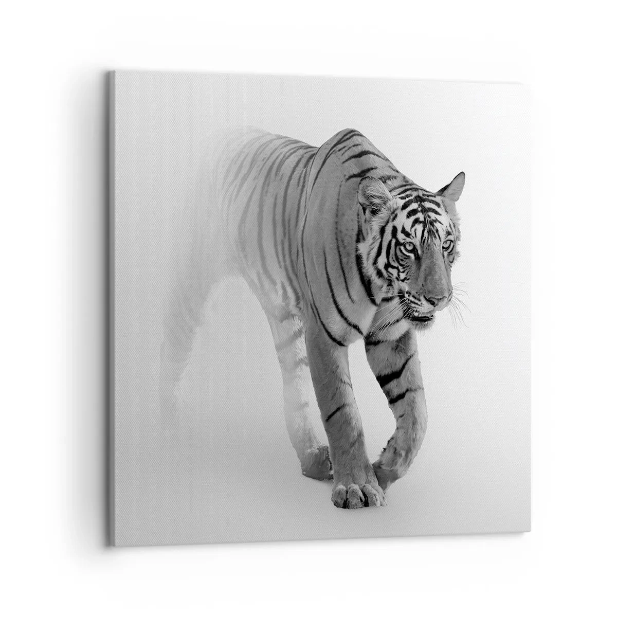 Obraz na plátne - Prikrčený v hmle - 50x50 cm