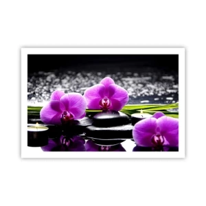 Plagát - Utopiť v tichu a pokoji - 91x61 cm