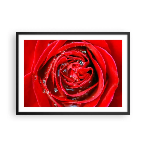 Plagát v čiernom ráme - V kvapkách rosy - 70x50 cm
