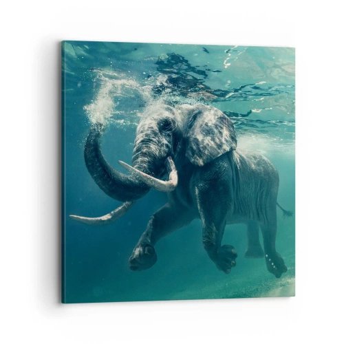 Obraz na plátne - Všetci radi plávajú - 70x70 cm