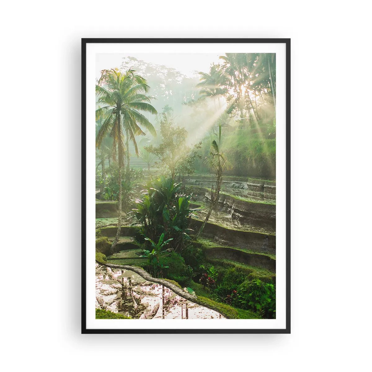 Plagát v čiernom ráme - Vyrastať na slnku - 70x100 cm