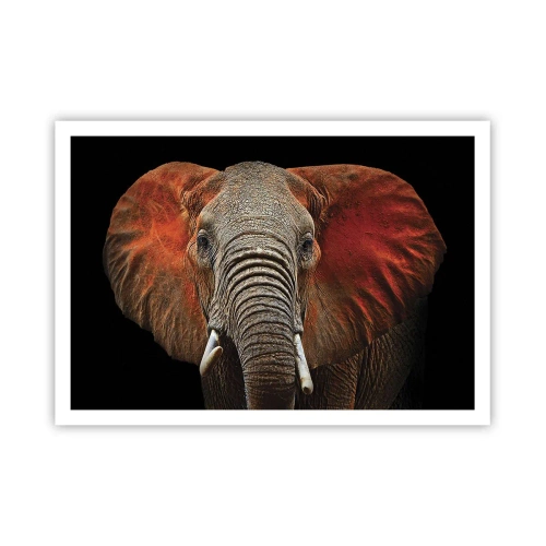 Plagát - Som divoký, a ty? - 100x70 cm