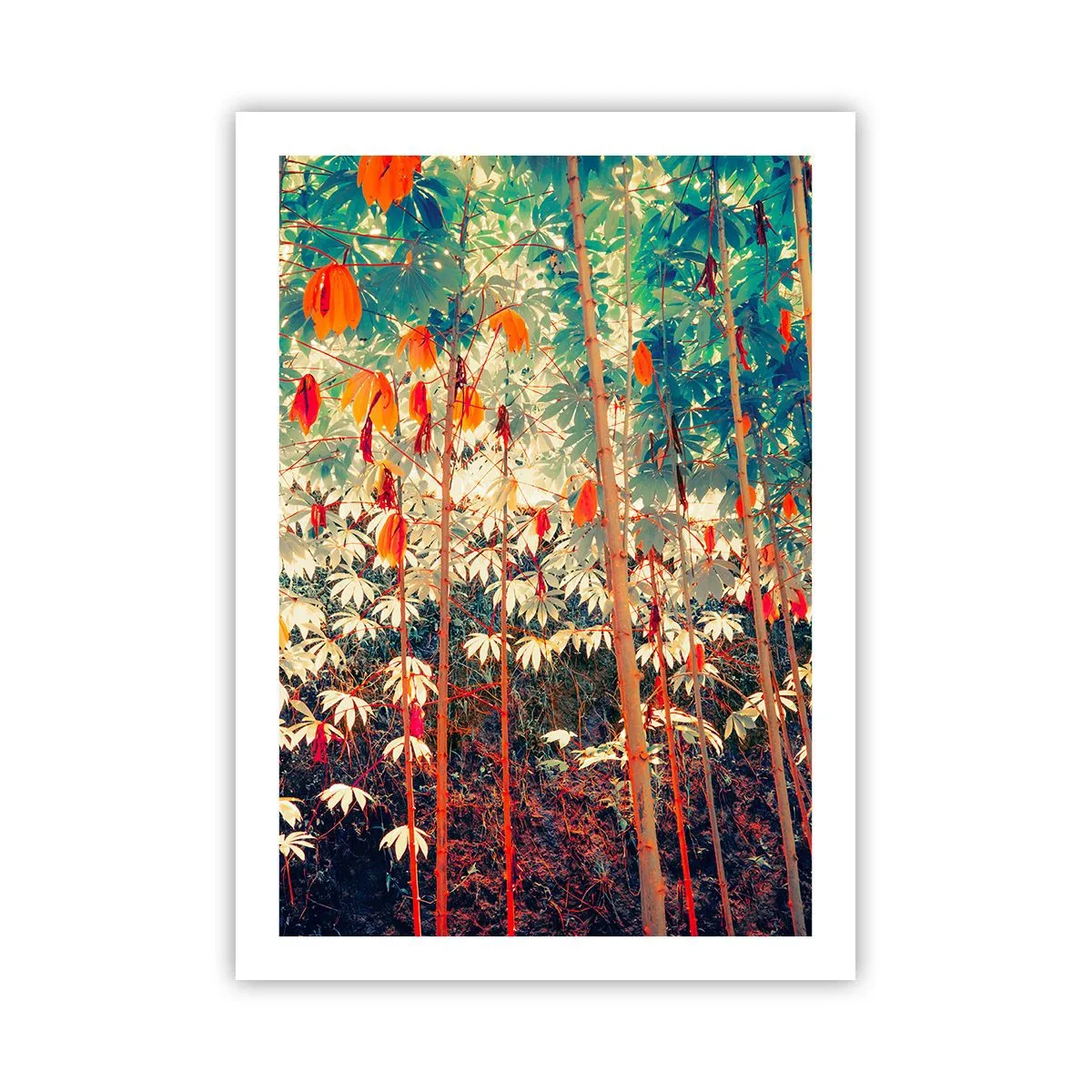 Plagát - Tajný život listov - 50x70 cm