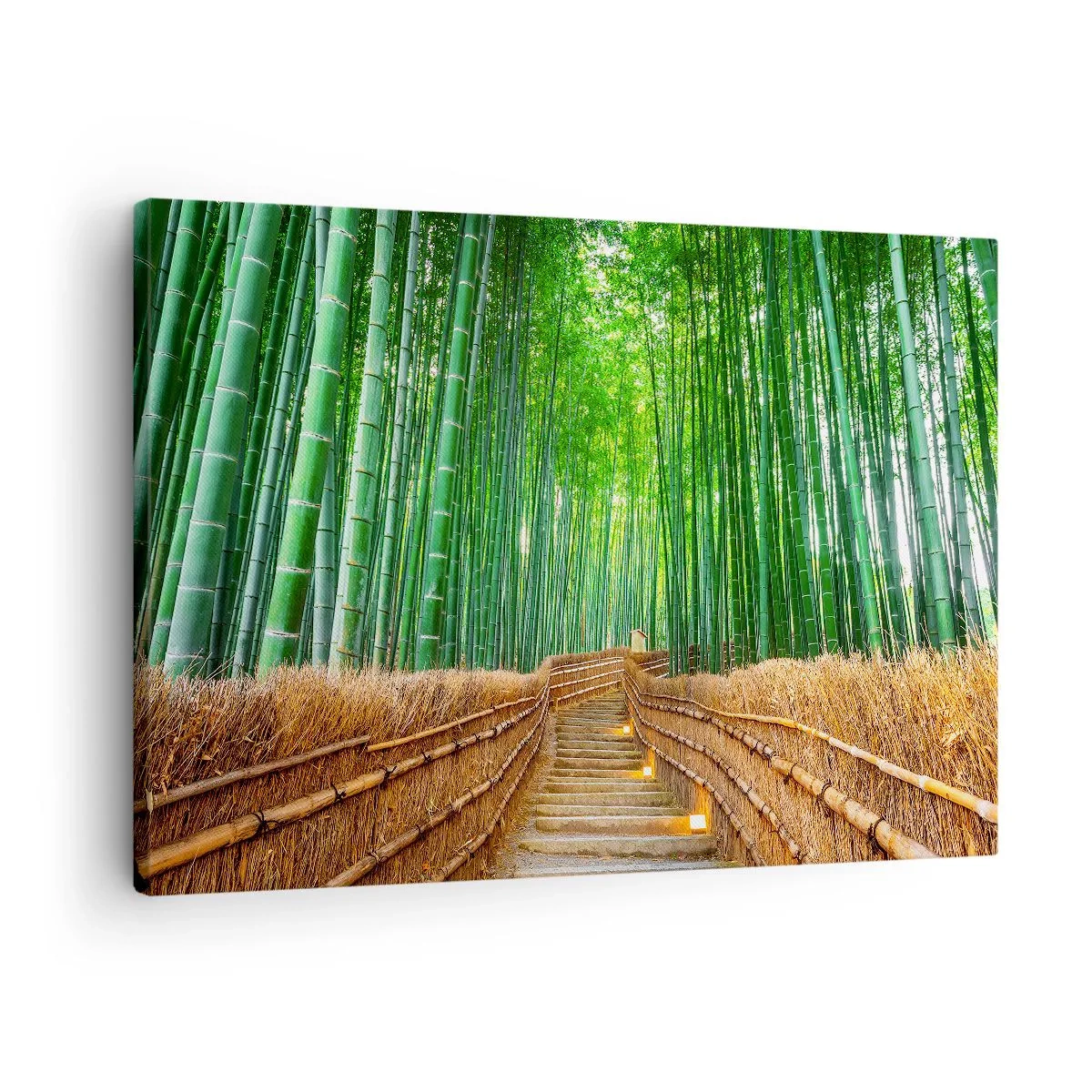 Obraz na plátne - Cesta v hustom bambusovom lese - 70x50cm - Esencia ázijskej prírody - Moderná nástenná dekorácia do obývacej izby a spálne ARTTOR