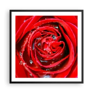 Plagát v čiernom ráme - V kvapkách rosy - 60x60 cm