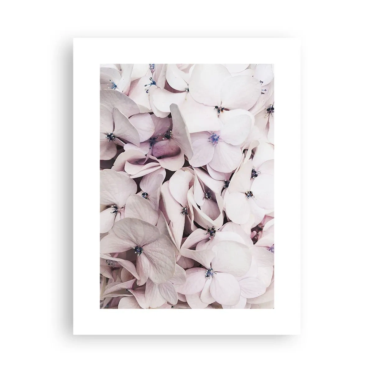 Plagát - V záplave kvetov - 30x40 cm