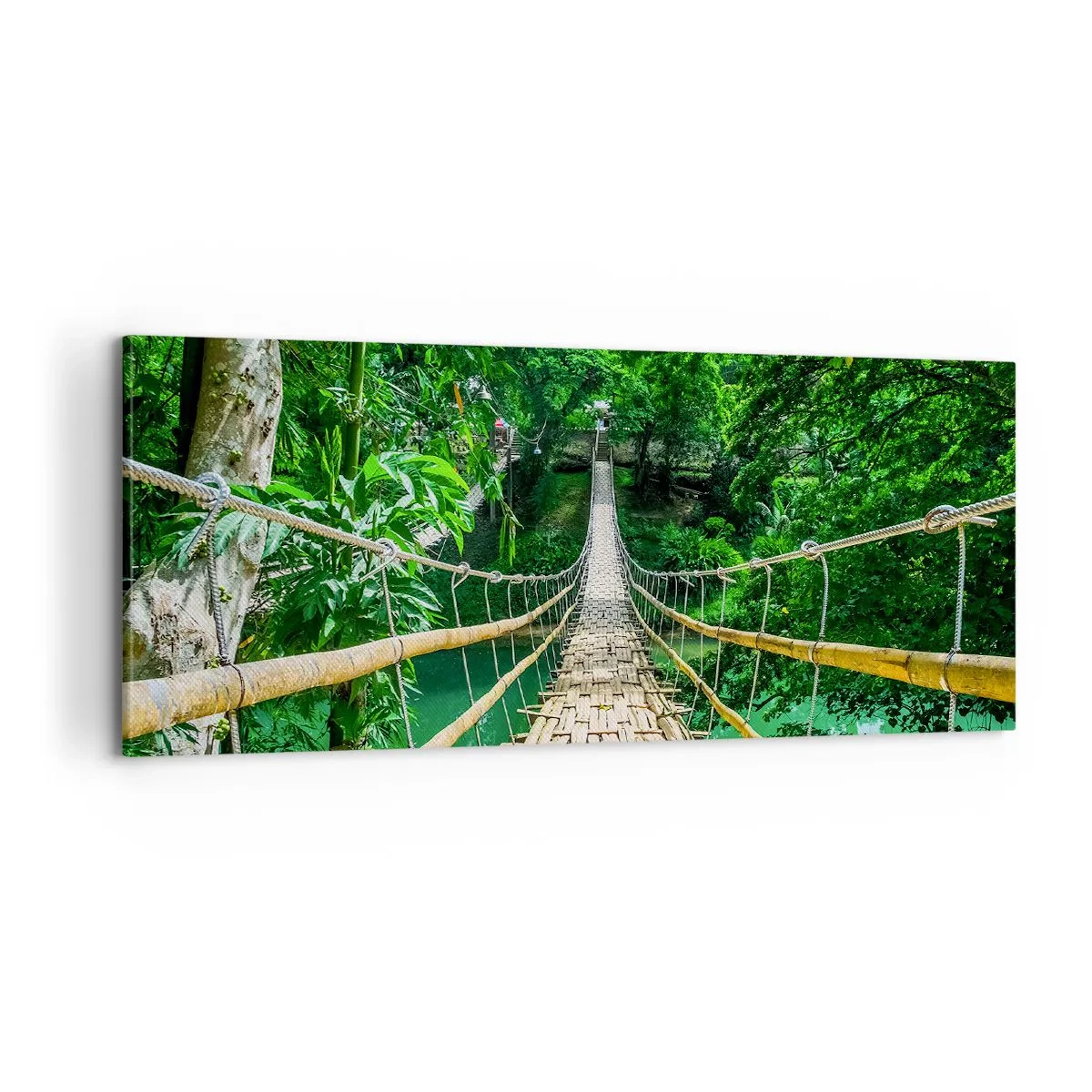 Obraz na plátne - Opičí most nad zeleňou - 100x40 cm