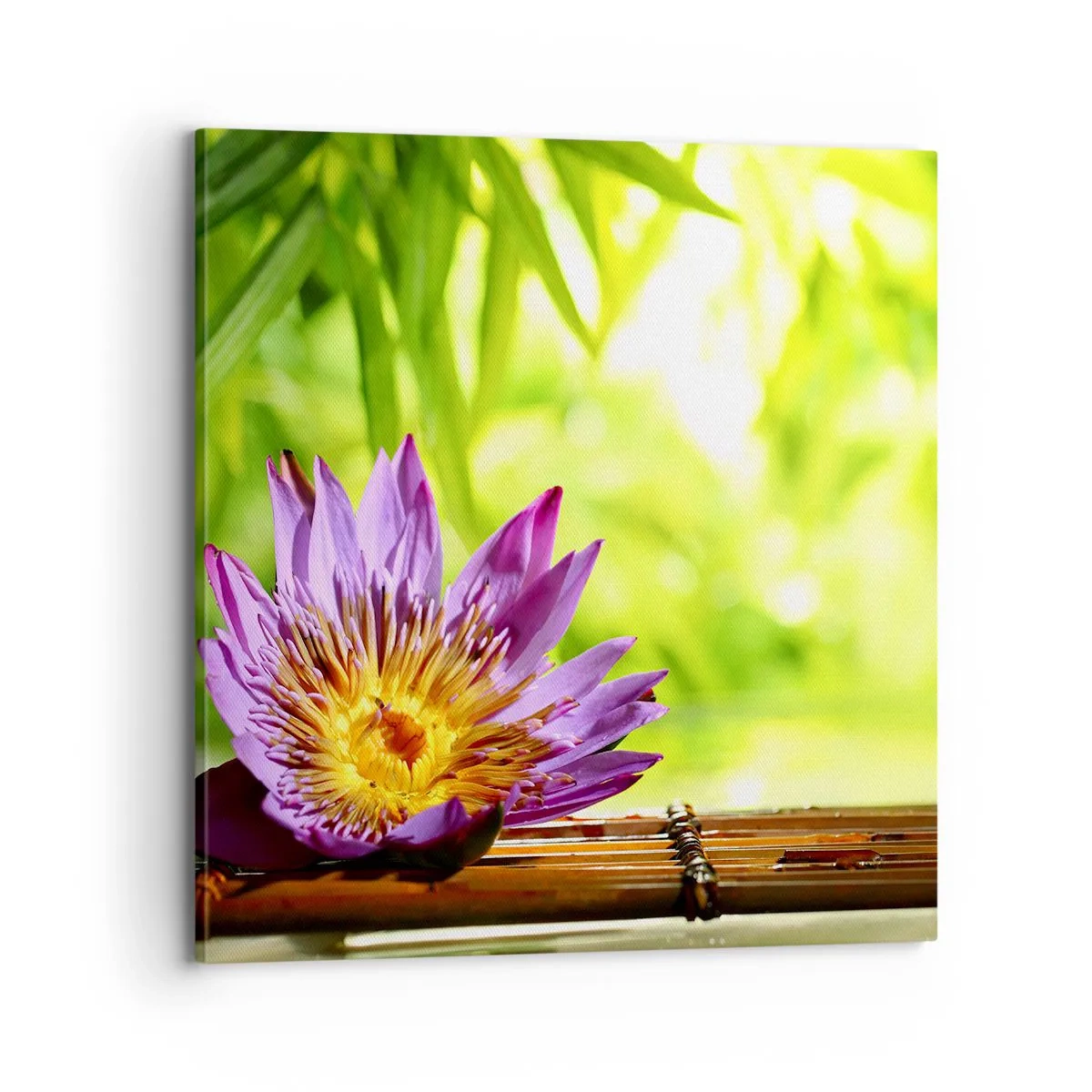 Obraz na plátne - Na ázijskom slnku - 70x70 cm