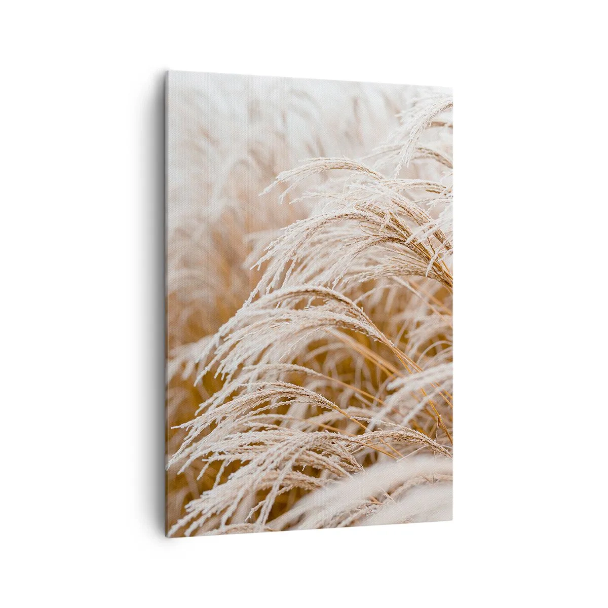 Obraz na plátne - Klanenie jesennému slnku - 70x100 cm