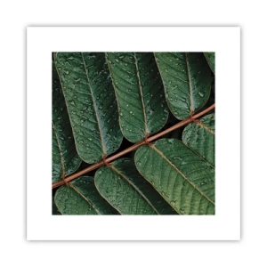 Plagát - V zelenom rytme - 30x30 cm