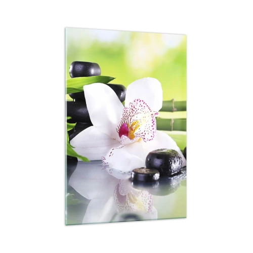 Obraz na skle - Chladná sviežosť - 70x100 cm