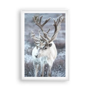 Plagát v bielom ráme - Slnečný portrét - 61x91 cm