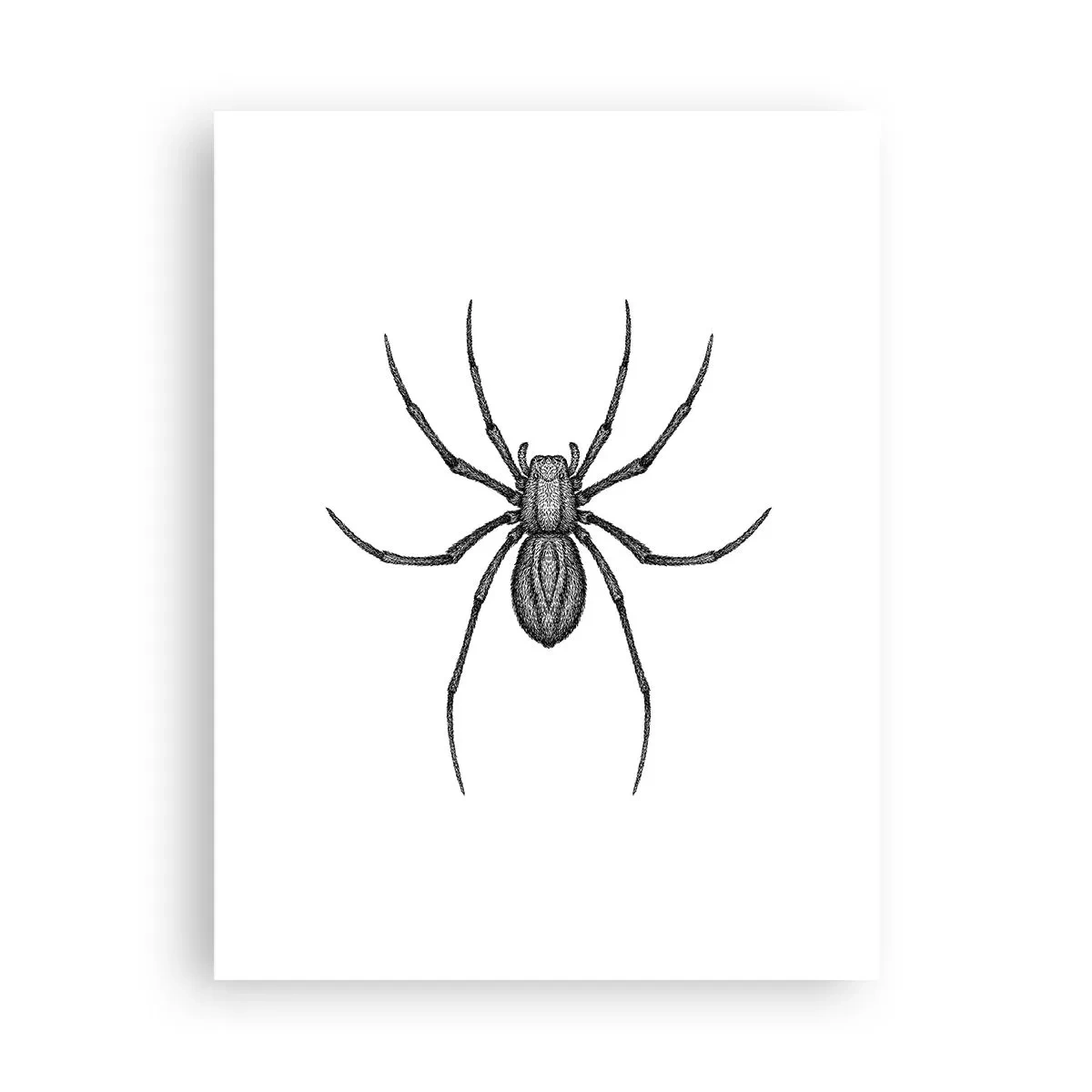 Plagát - Znepokojivá presnosť - 30x40 cm