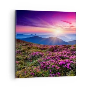 Obraz na plátne - Zavoňali svieže púčiky byliniek z obilných polí - 60x60 cm