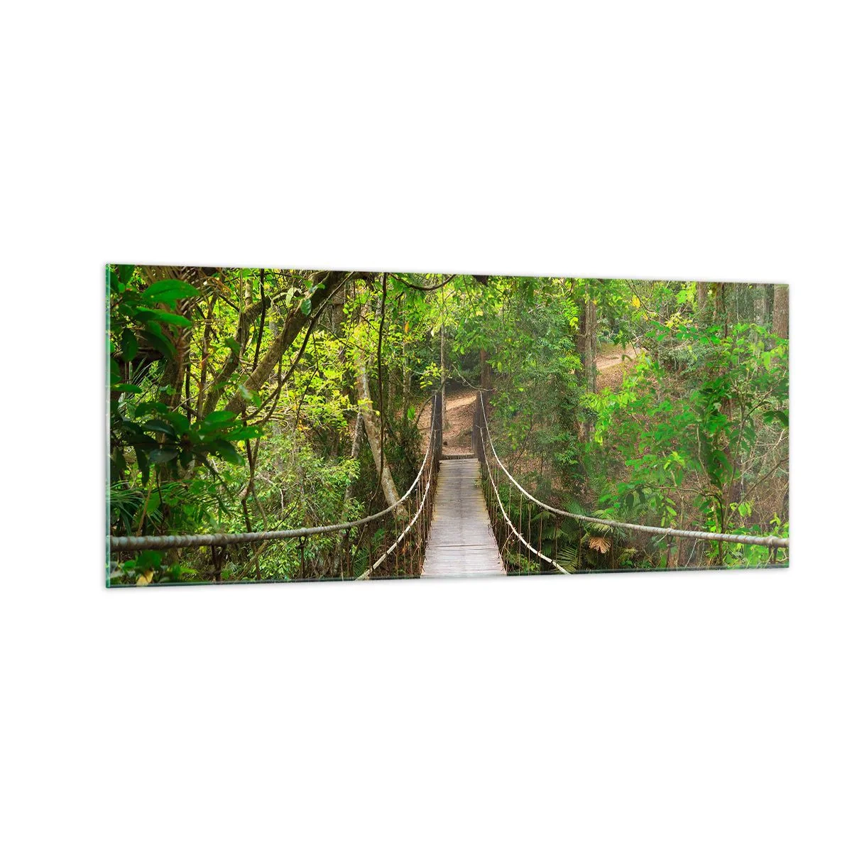 Obraz na skle - Lebo na záhrade rastú popínavé rastliny - 100x40 cm