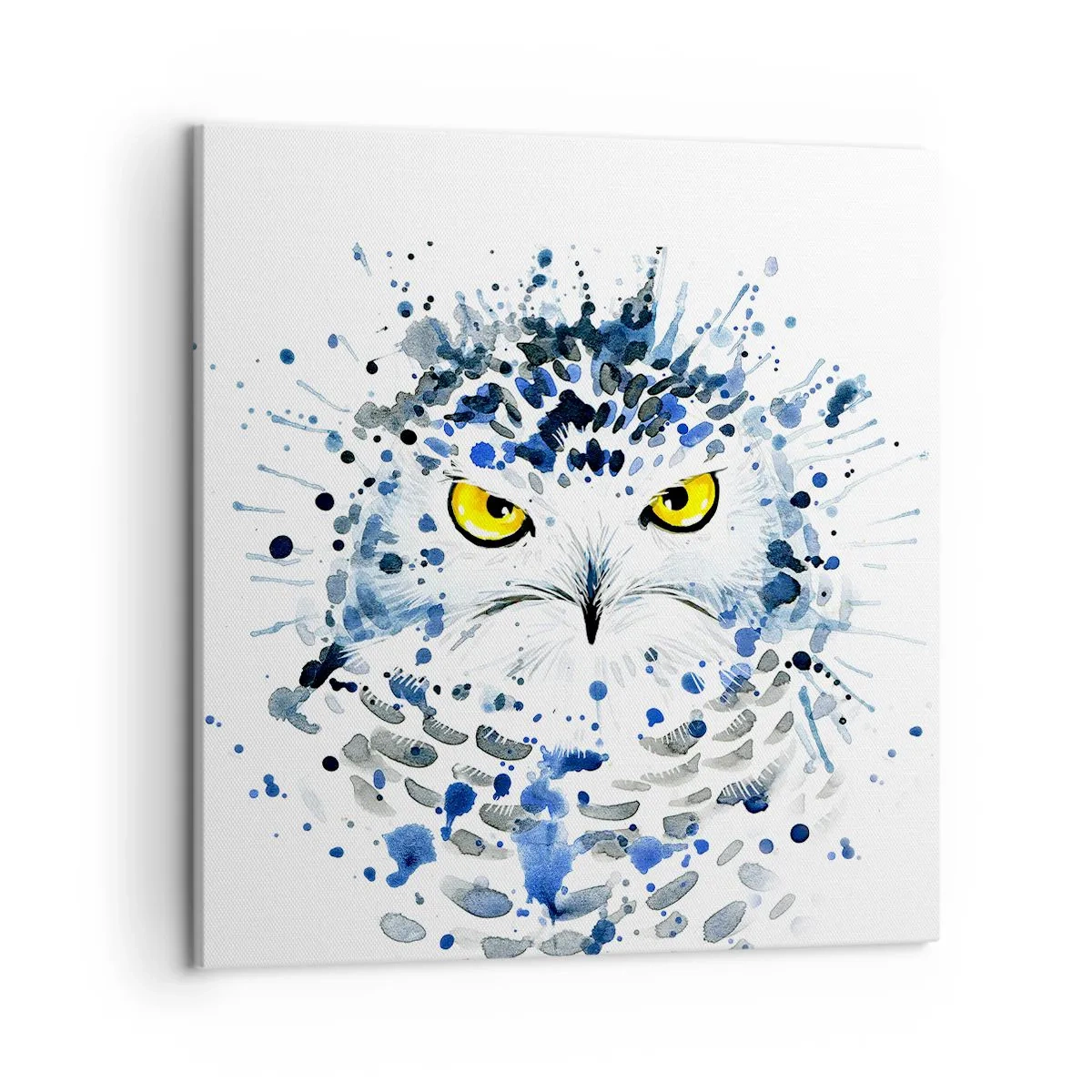 Obraz na plátne - Priamo do očí - 50x50 cm