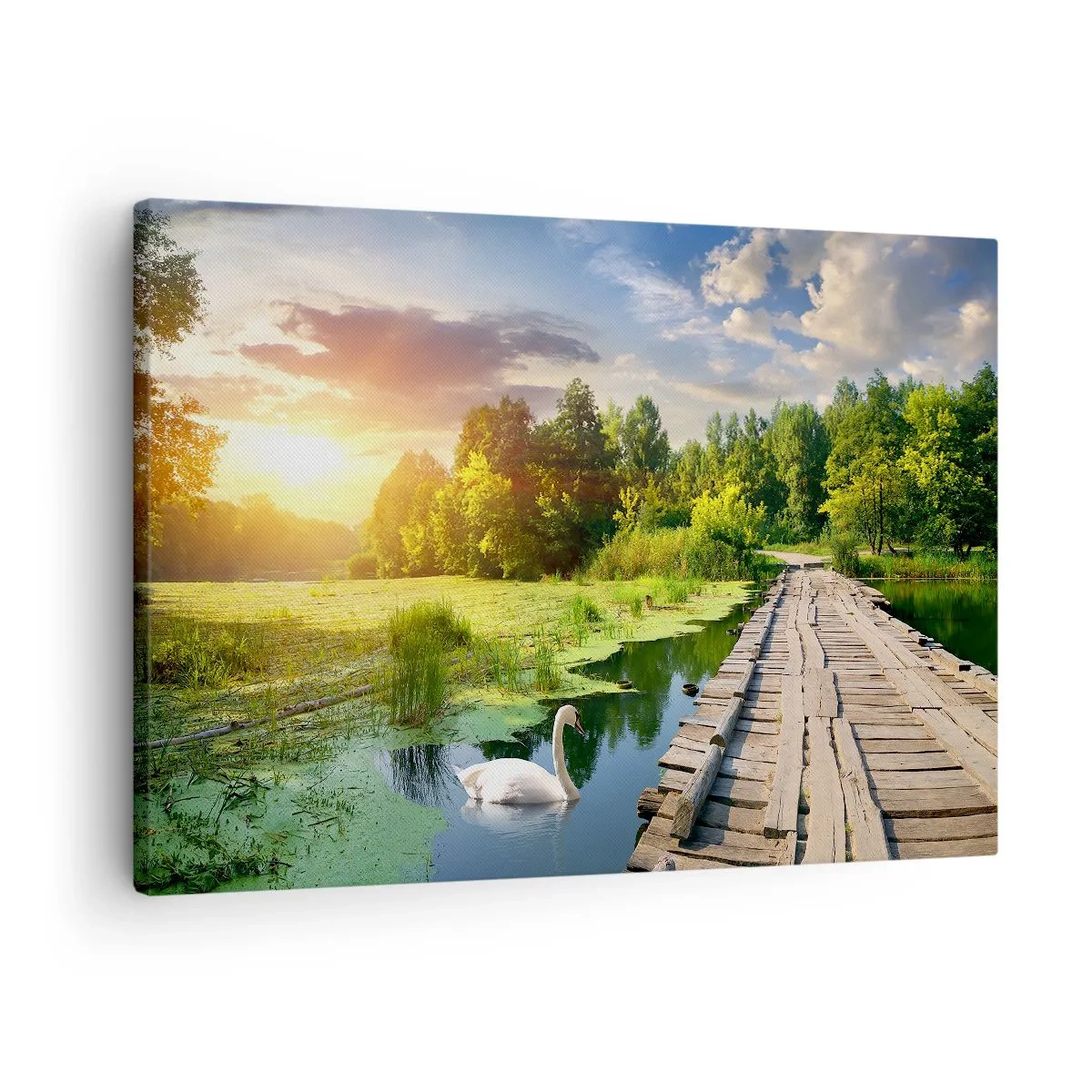 Obraz na plátne - Malebná krajina s mostom a labuťou - 70x50cm - Leto, leto všade - Moderná nástenná dekorácia do obývacej izby a spálne ARTTOR