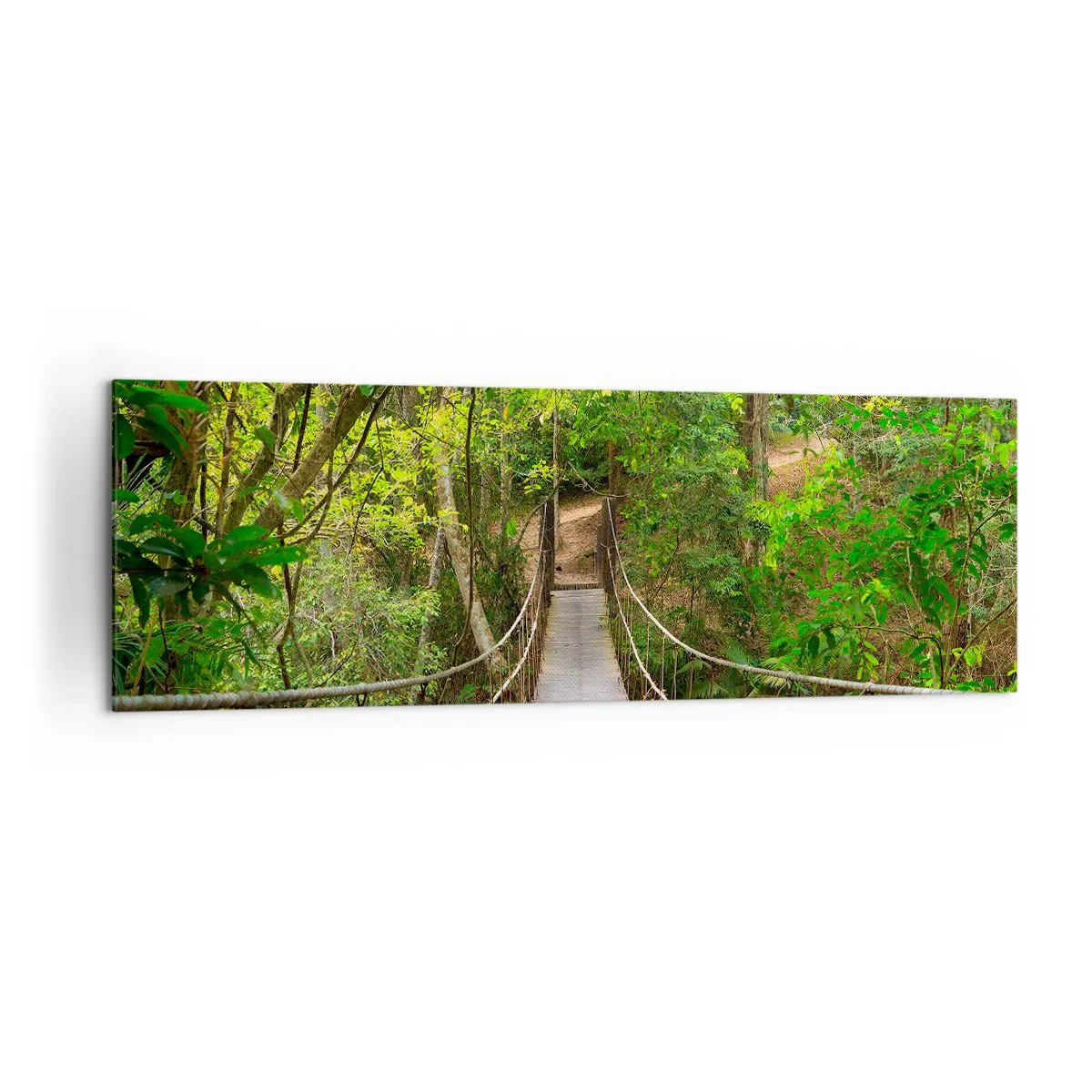 Obraz na plátne - Lebo na záhrade rastú popínavé rastliny - 160x50 cm