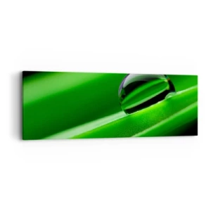 Obraz na plátne - Život zblízka - 90x30 cm