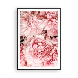Plagát v čiernom ráme - Ružový sen - 70x100 cm