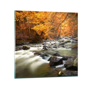 Obraz na skle - Potok v zlatom lese - 50x50 cm