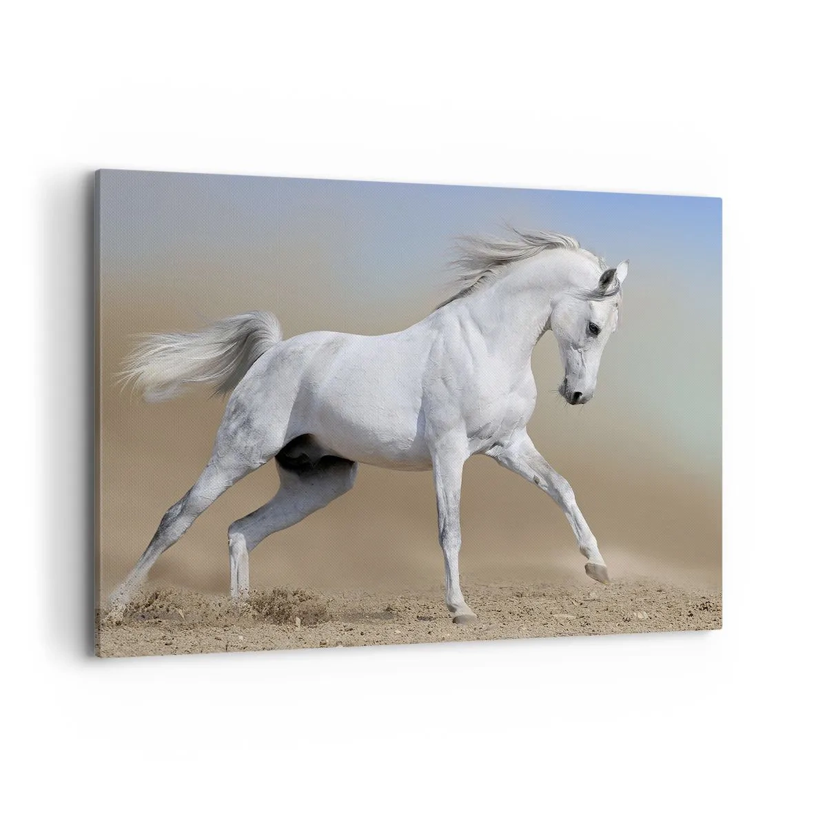 Obraz na plátne - Najkrajšia arabská rozprávka - 120x80 cm