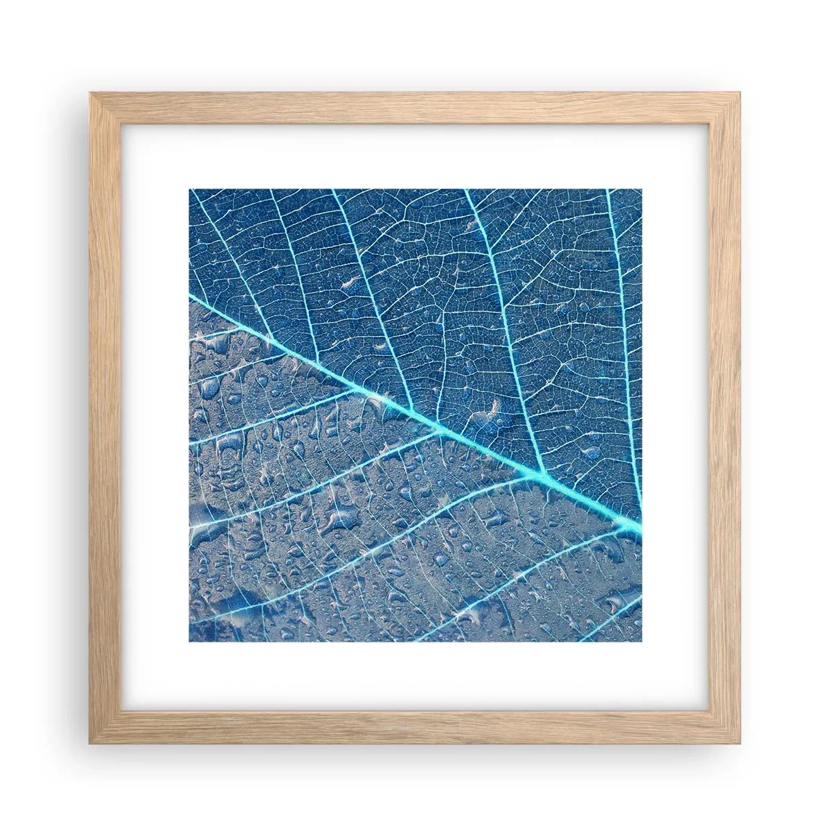 Plagát v ráme zo svetlého duba - Modrý život - 30x30 cm
