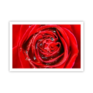 Plagát - V kvapkách rosy - 91x61 cm