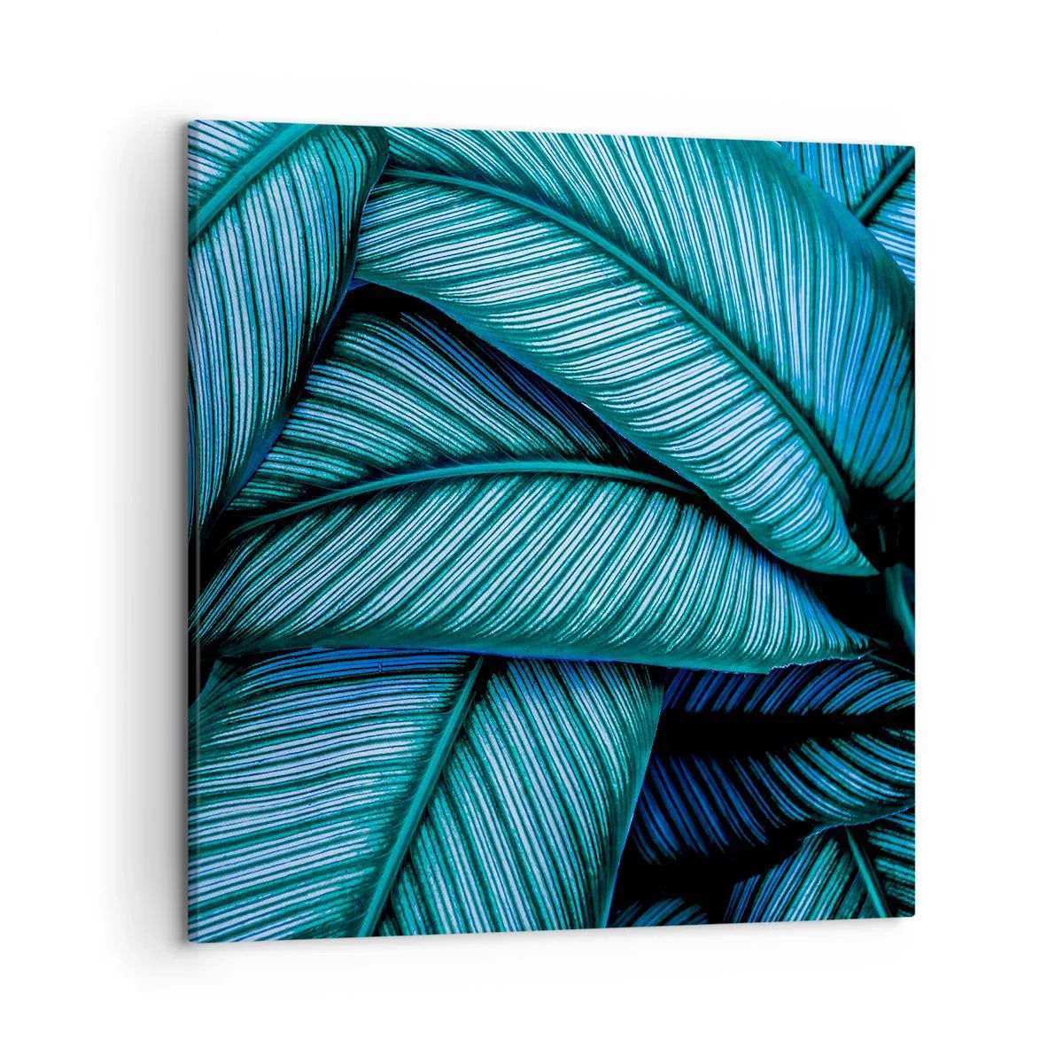 Obraz na plátne - Čiary života - 50x50 cm