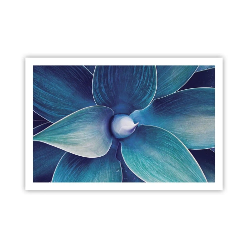 Plagát - Modrastý od neba - 91x61 cm