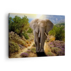 Obraz na plátne - Africký slon na pozadí savany a horskej krajiny - 70x50cm - Tak vyzeral Raj - Moderná nástenná dekorácia do obývacej izby a spálne ARTTOR