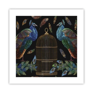 Plagát - V kráľovskom rúchu - 40x40 cm