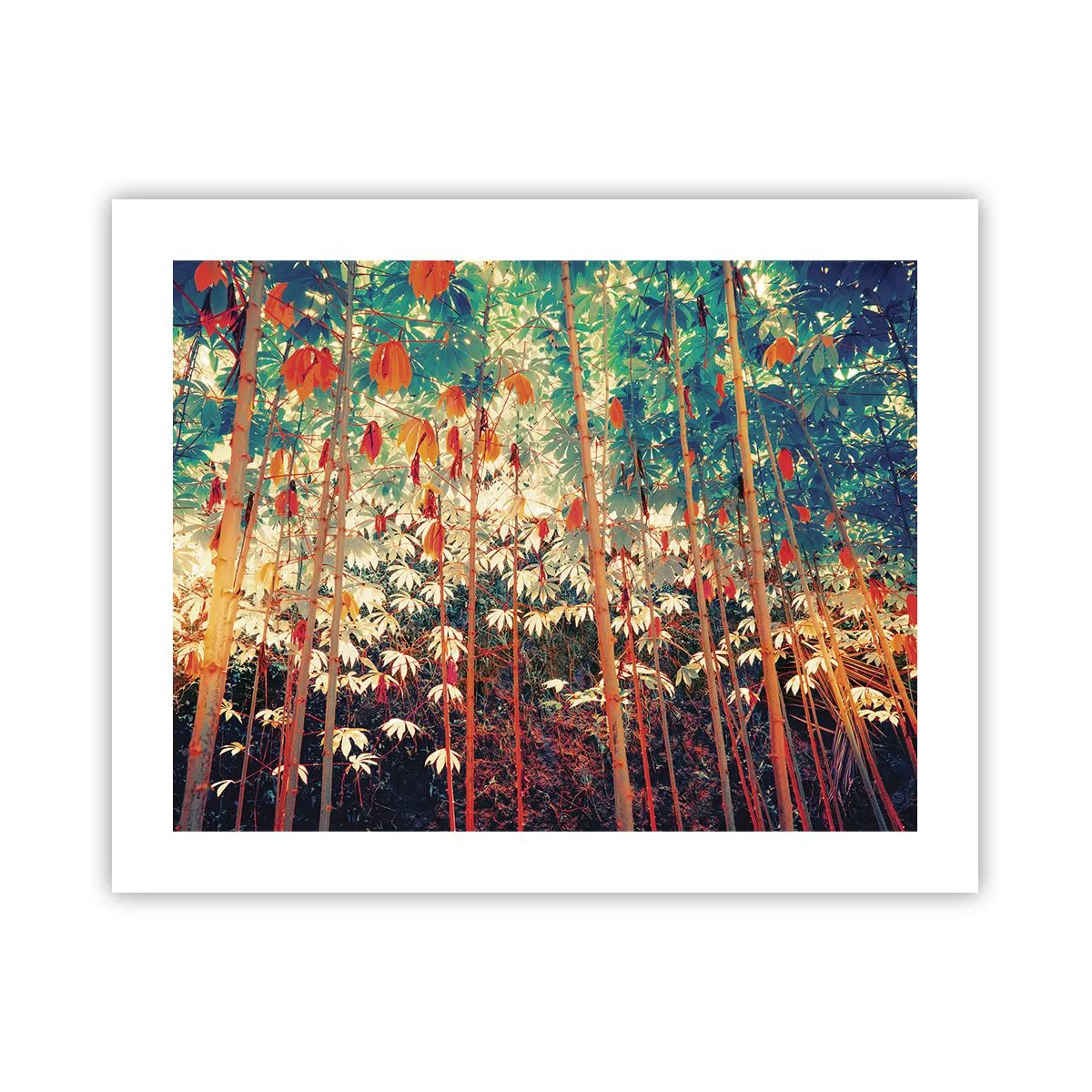Plagát - Tajný život listov - 50x40 cm