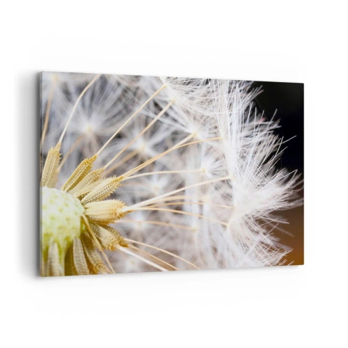 Obraz na plátne - Tesne pred odletom - 100x70 cm