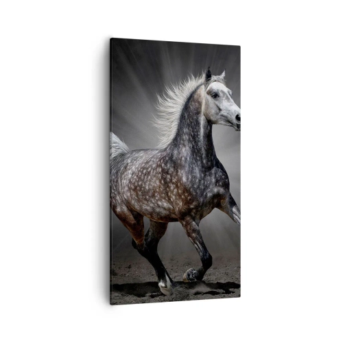 Obraz na plátne - Sivé je krásne - 55x100 cm