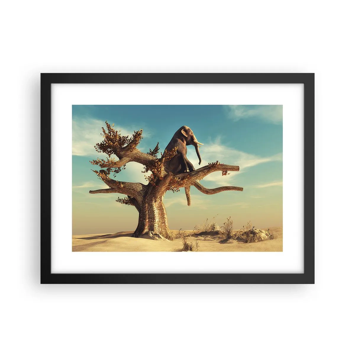 Plagát v čiernom ráme - Nový uhol pohľadu - 40x30 cm