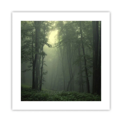 Plagát - Než sa prebudí - 40x40 cm