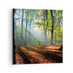 Obraz na plátne - Svetlá a tiene - 70x70 cm