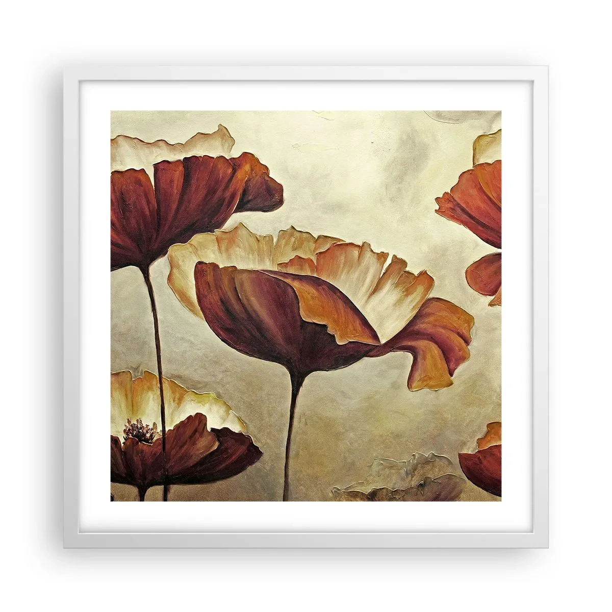 Plagát v bielom ráme - Lán lúky - 50x50 cm