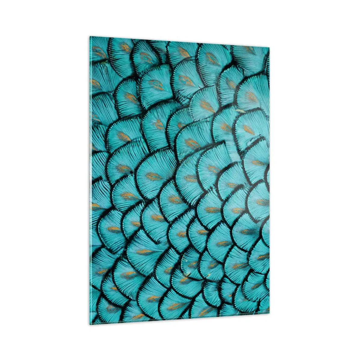 Obraz na skle - Veľká slávnosť peria - 50x70 cm
