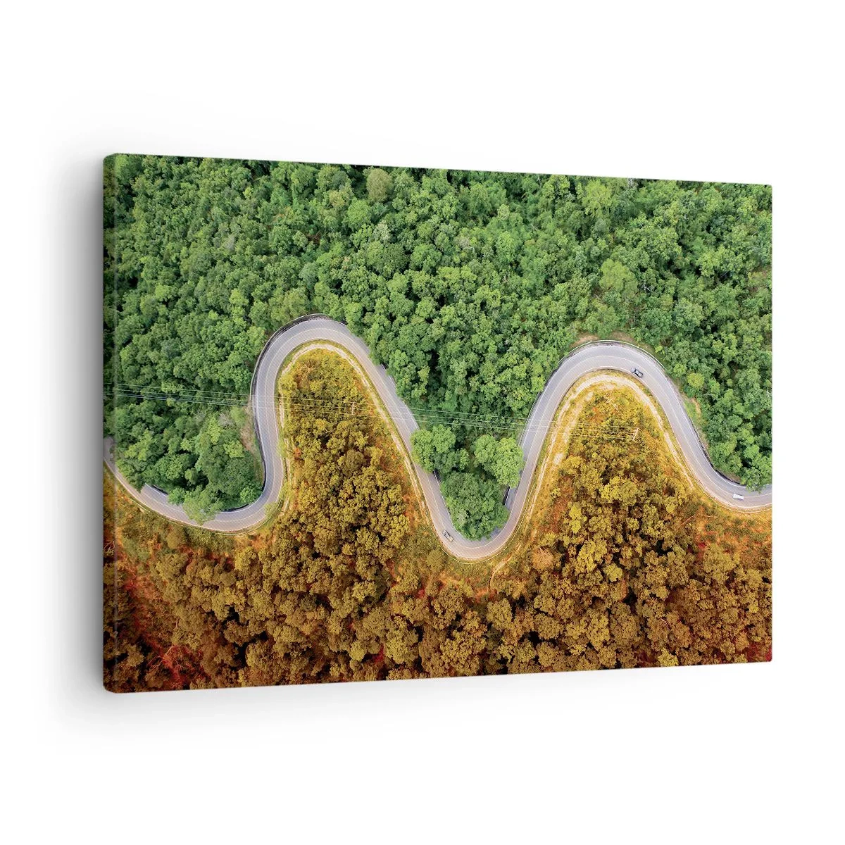 Obraz na plátne - Kľukatá cesta lesom z vtáčej perspektívy - 70x50cm - Hranice a prelomy - Moderná nástenná dekorácia do obývacej izby a spálne ARTTOR