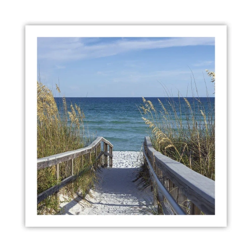 Plagát - Na slnku, vo vetre - 60x60 cm