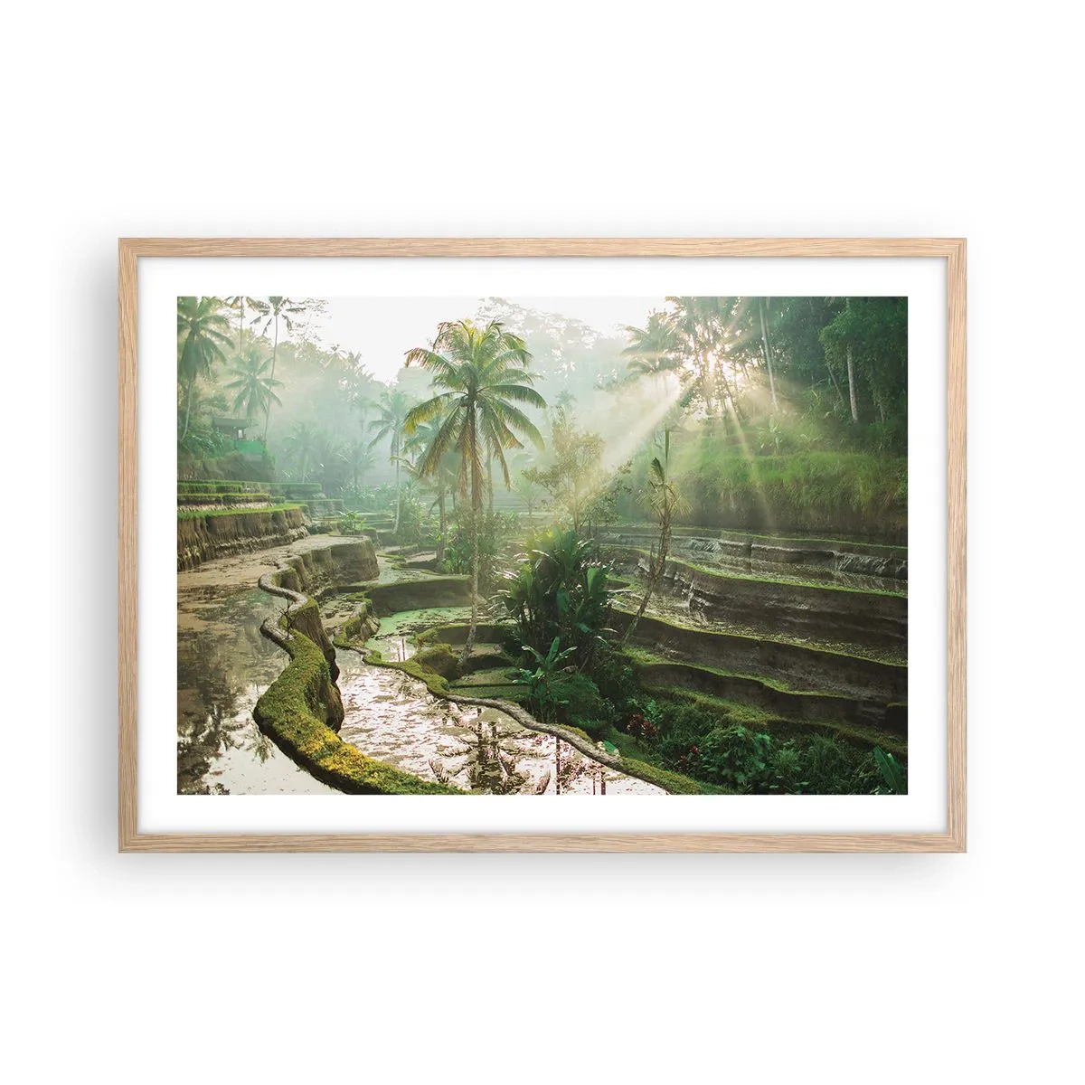 Plagát v ráme zo svetlého duba - Vyrastať na slnku - 70x50 cm