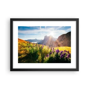 Plagát v čiernom ráme - Tajomný život bylín - 40x30 cm