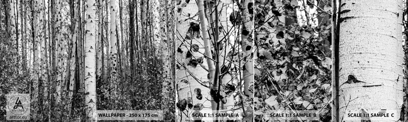 Vzorka samolepiacej fototapety Deluxe Sticker - Brezová kolonáda - les, Breza, Príroda - 100x30 cm